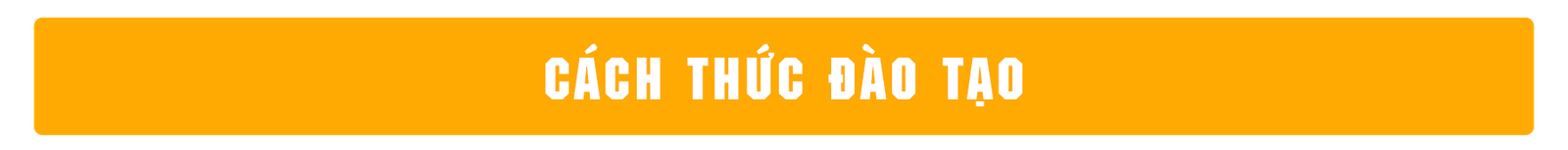 cách thức đào tạo