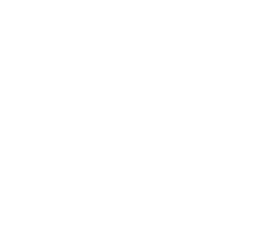 Train The Trainer