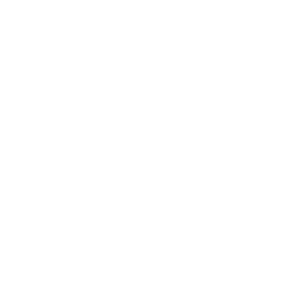 Train The Trainer